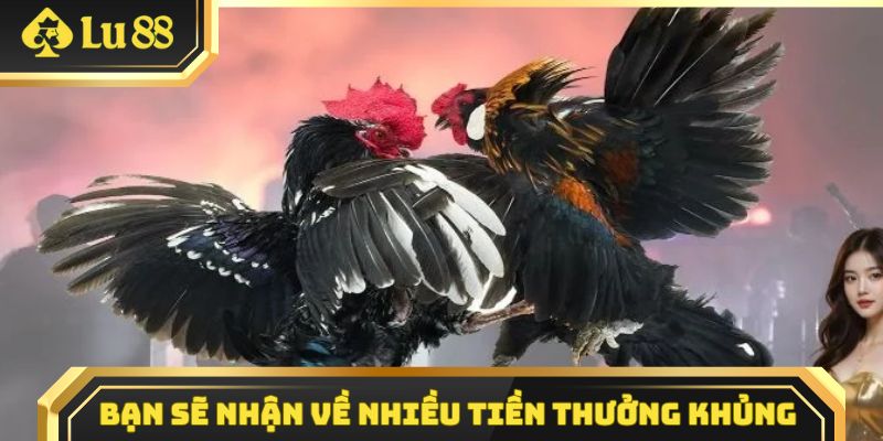 Bạn sẽ nhận về nhiều tiền thưởng khủng