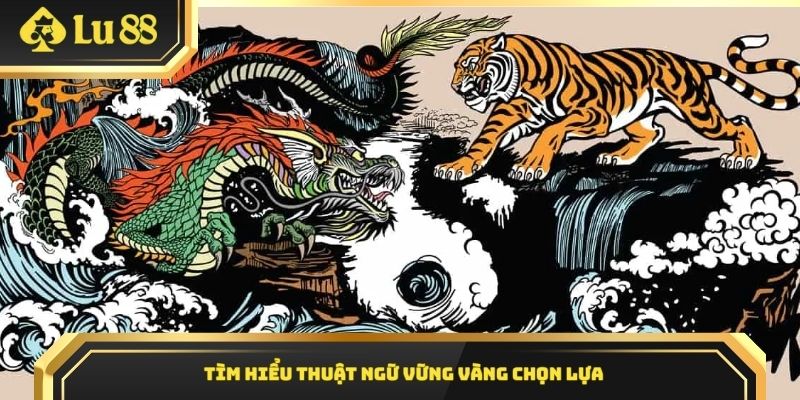 Tìm hiểu thuật ngữ vững vàng chọn lựa